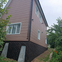 Кедр